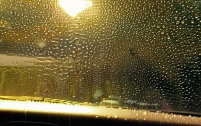 How Weather Affects Your Car’s Exterior: Northern Virginia Insights